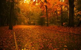 beautiful fall